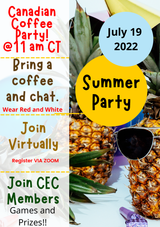 colorful_pineapples_photography_summer_party_coupon_1